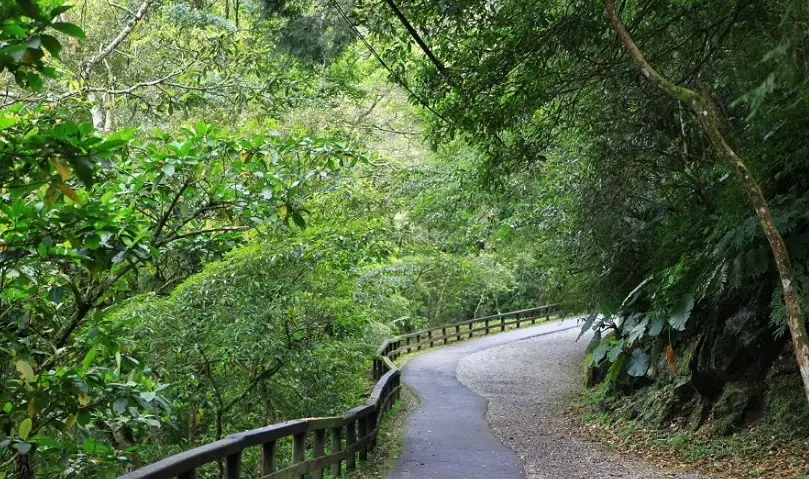 北部無階梯步道推薦：親子、輪椅友善的輕鬆健行路線指南