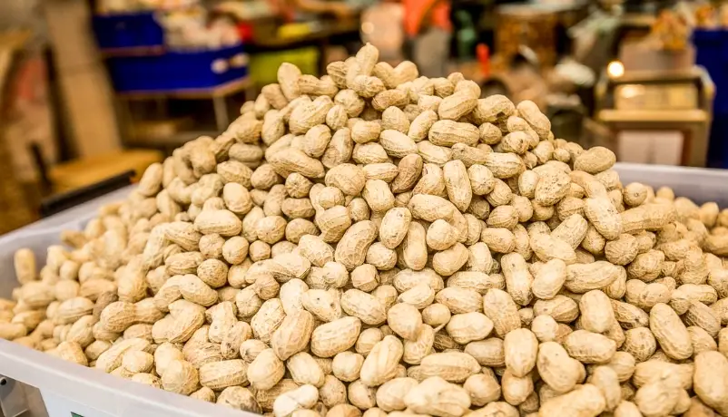 雲林美食 雲林美食