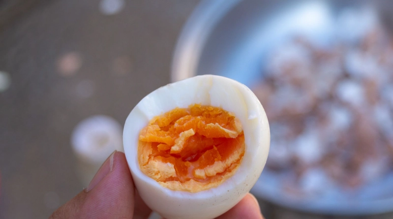 台北泡湯一日遊 台北泡湯一日遊