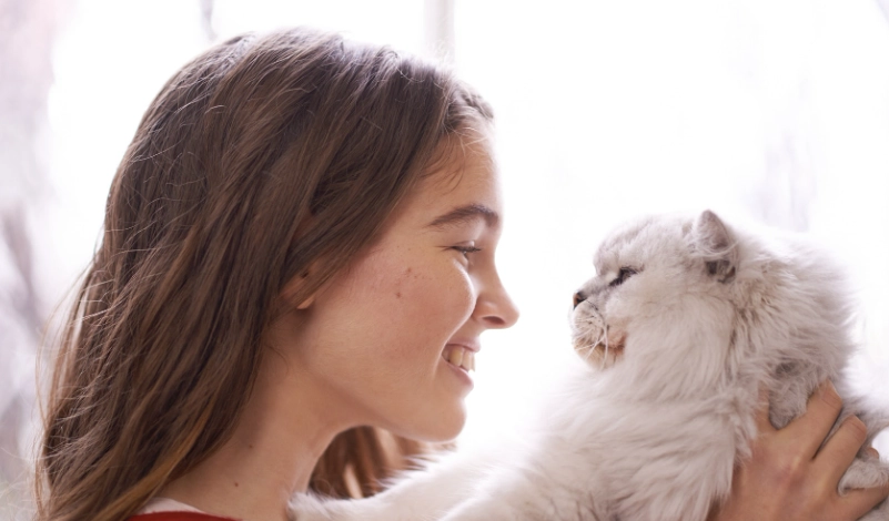 讓貓咪愛上你的完整指南：10個實用技巧建立親密關係