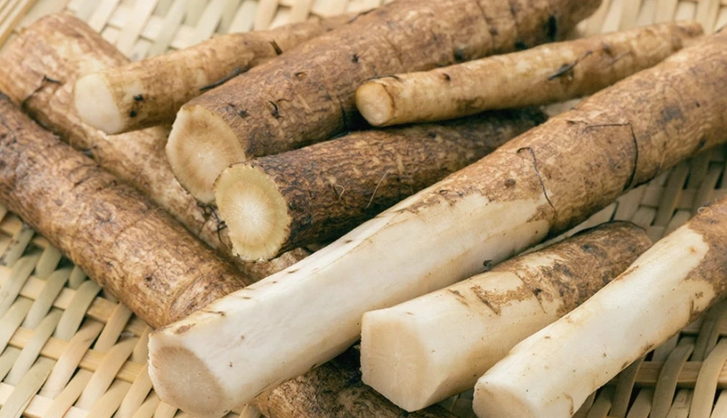 牛蒡功效與吃法全攻略：從挑選、處理到料理，一次搞懂怎麼吃最有效