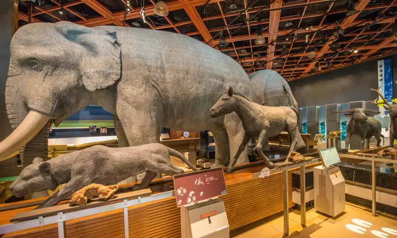 台東景點 台東景點