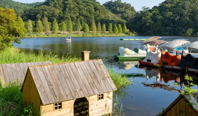 三義景點推薦：木雕之鄉的必訪清單與深度遊玩攻略