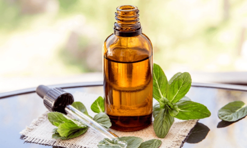 廣藿香精油功效全解析：從皮膚護理到情緒穩定，一次搞懂用法與禁忌