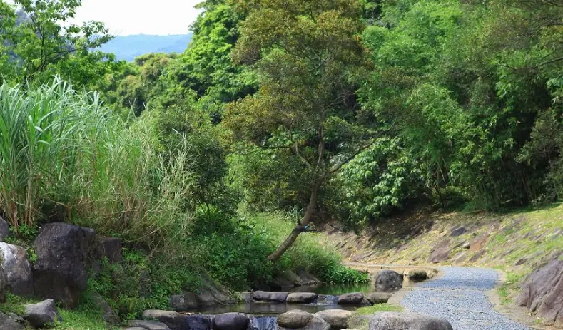 親子步道北部 親子步道北部