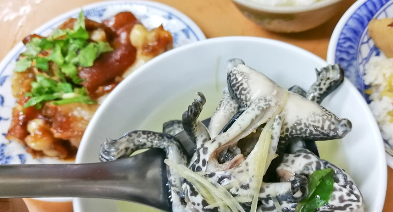 北港朝天宮附近美食地圖｜在地人帶路，精選10間必吃小吃與餐廳