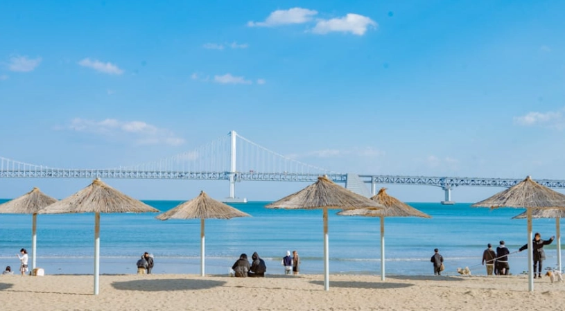 釜山自由行 釜山自由行