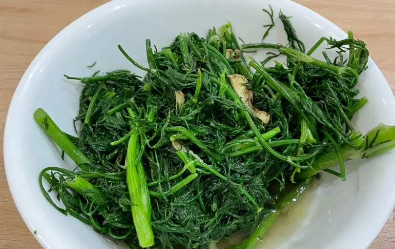 茴香菜料理 茴香菜料理