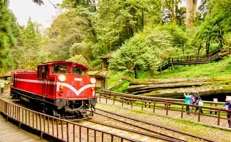 阿里山森林遊樂區