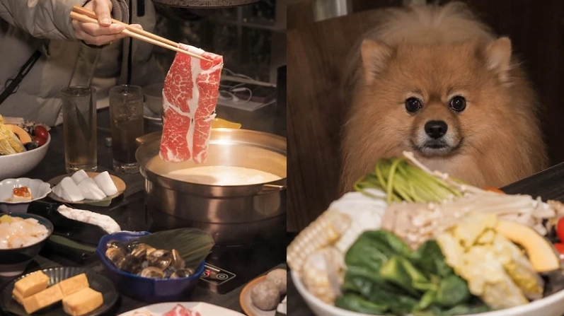 花蓮火鍋寵物友善