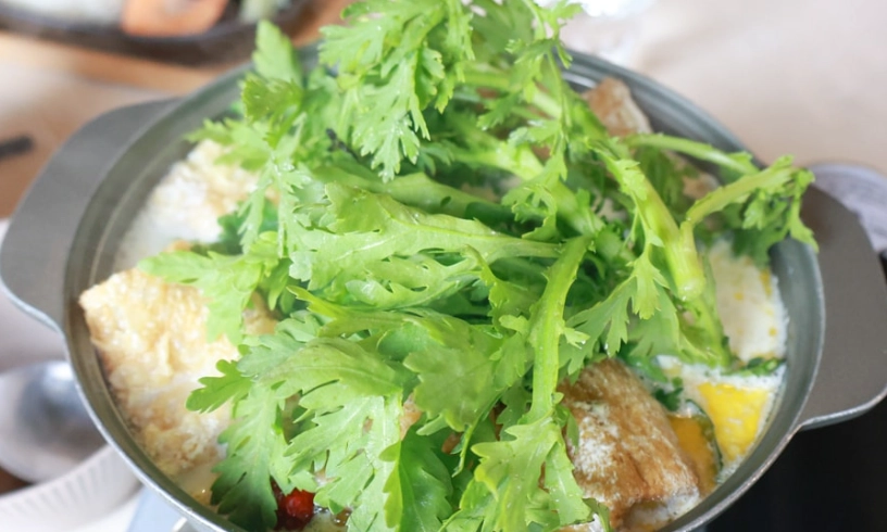 花蓮寵物友善火鍋推薦：帶毛小孩享受暖心鍋物全攻略