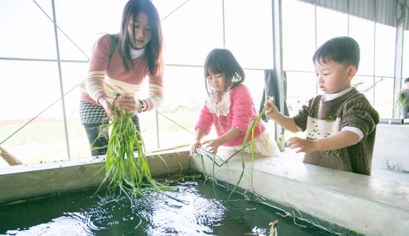 宜蘭三星旅遊 宜蘭三星旅遊
