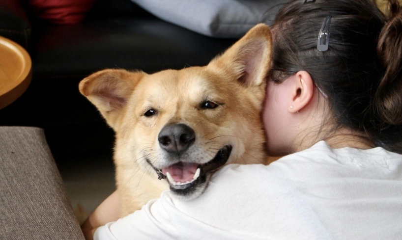 狗狗真心喜歡你的10個表現！看懂這些肢體語言，讓你更懂毛孩