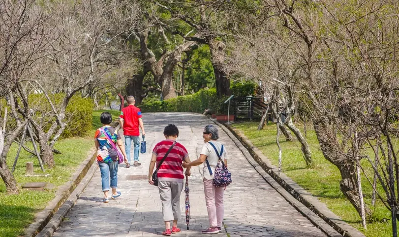 桃園無障礙景點全攻略：輪椅友善、親子共遊的友善設施景點推薦