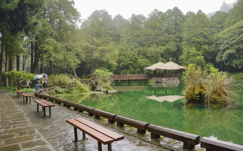 阿里山森林遊樂區