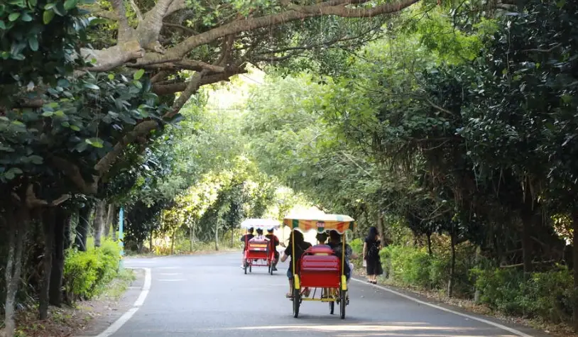 桃園海岸線自駕 桃園海岸線自駕