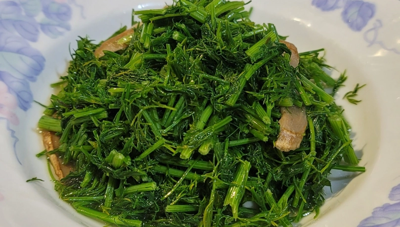 茴香菜料理 茴香菜料理