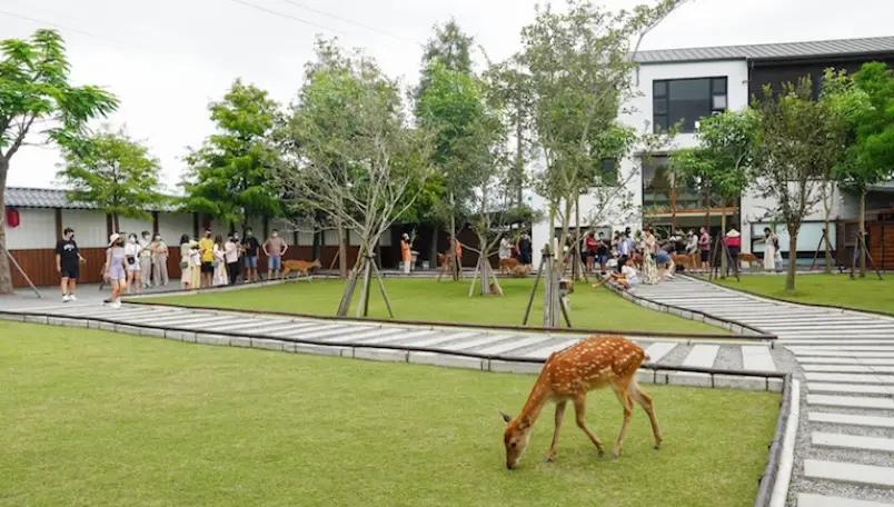 宜蘭室內景點 情侶