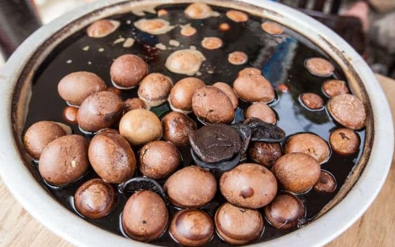 日月潭九族兩天一夜