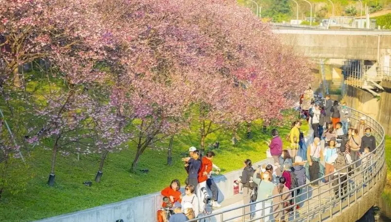 北部不塞車景點清單：避開人潮的秘境一日遊提案