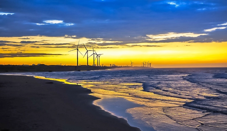 桃園一日遊開車 桃園一日遊開車