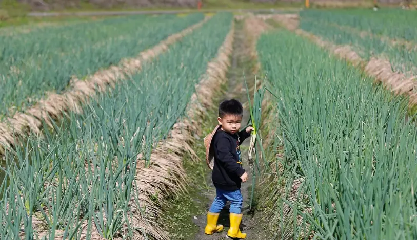 宜蘭三星旅遊 宜蘭三星旅遊