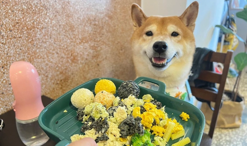 嘉義寵物友善餐廳