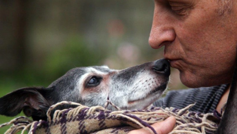 狗狗快死了行為 狗狗快死了行為