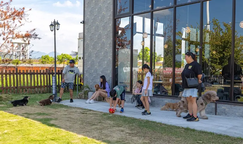 嘉義寵物餐廳推薦