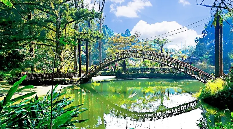 南投三天兩夜親子遊：山林農場與生態探索的完美假期規劃