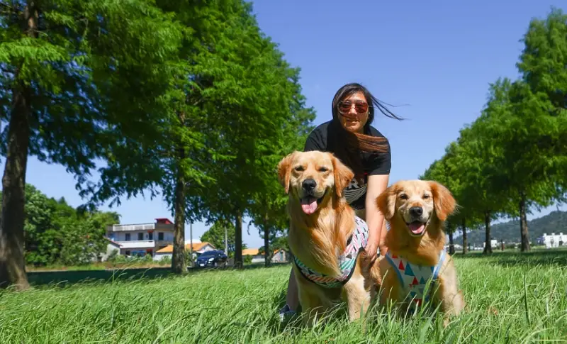 三星寵物友善景點推薦：帶毛孩輕鬆出遊的完美指南