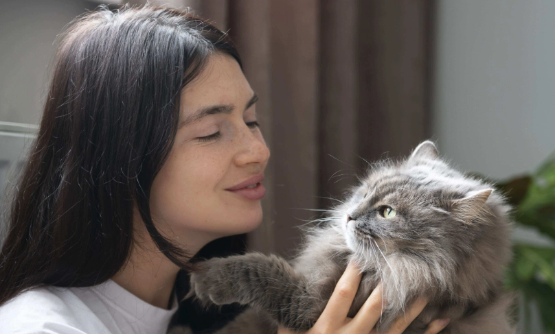 母貓結紮後變黏人是正常的嗎？獸醫與貓奴的完整行為解析與應對指南