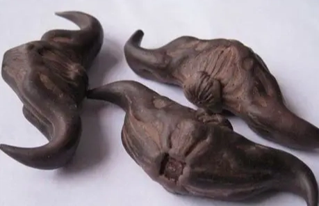 官田必吃美食攻略：菱角料理與隱藏小吃一次收藏