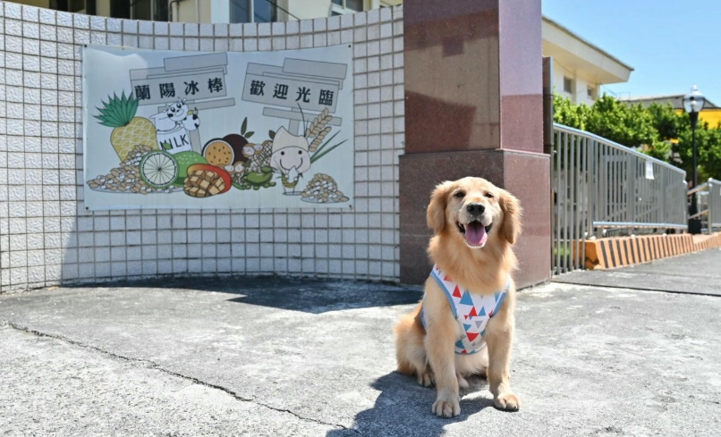 寵物友善景點 寵物友善景點