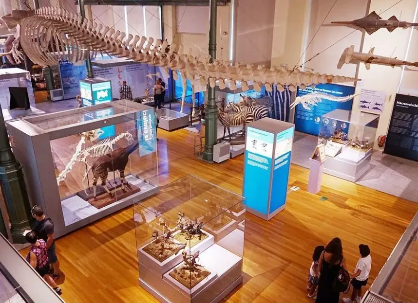 台中一日遊行程