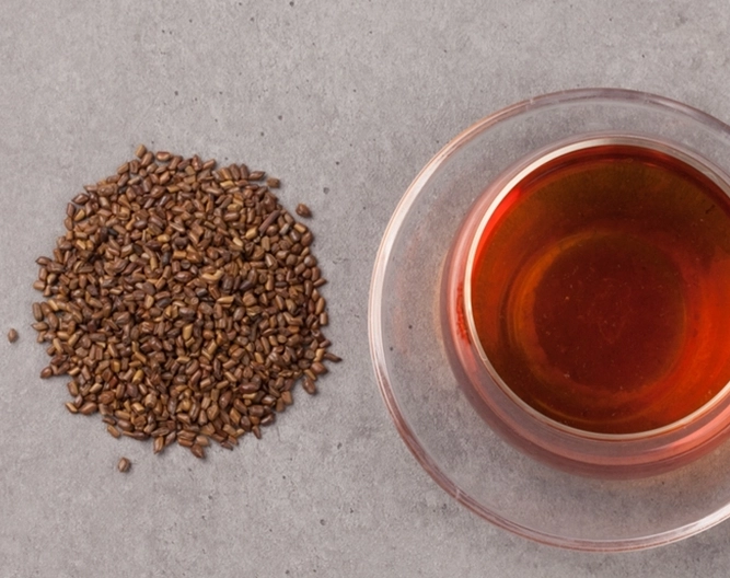 決明子茶功效與禁忌