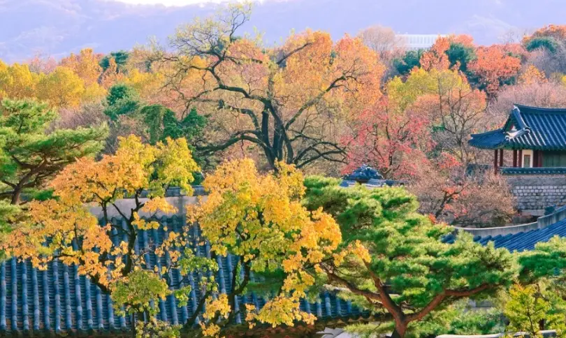 探索韓國首爾秘境：5個隱藏景點全攻略