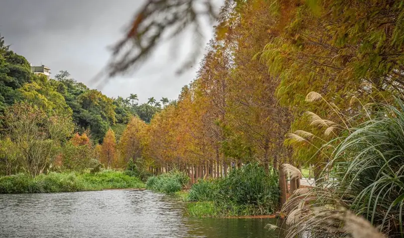 大溪一日遊拍照