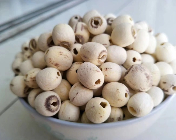 去芯蓮子終極指南：從挑選、處理到美味食譜一次搞懂