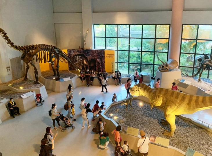 中部一日遊景點推薦：三條精選路線，輕鬆玩遍台中、南投精華