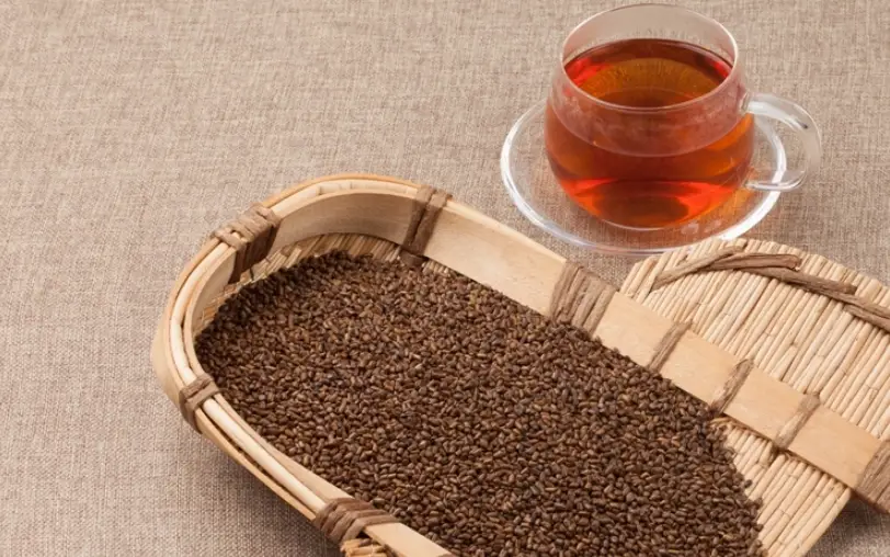 決明子茶副作用全解析：飲用前必知的健康風險與安全指南