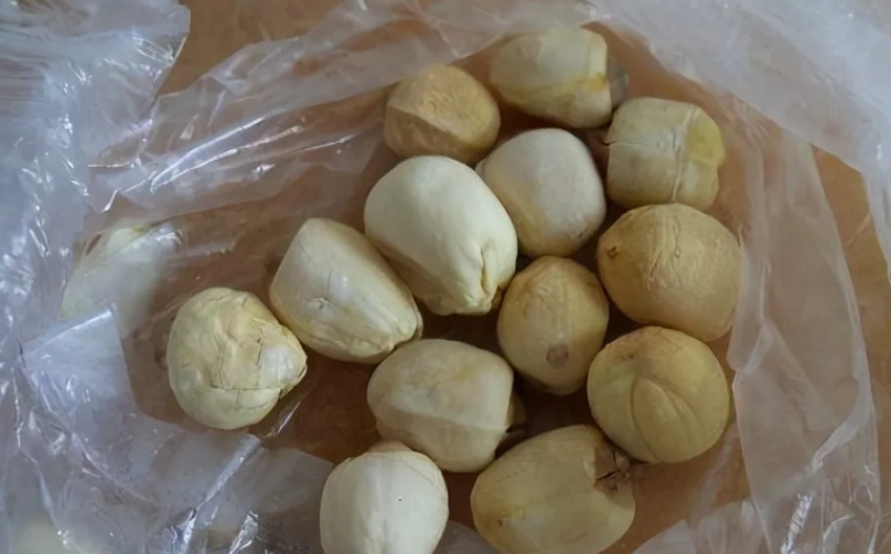 新鮮蓮子怎麼保存