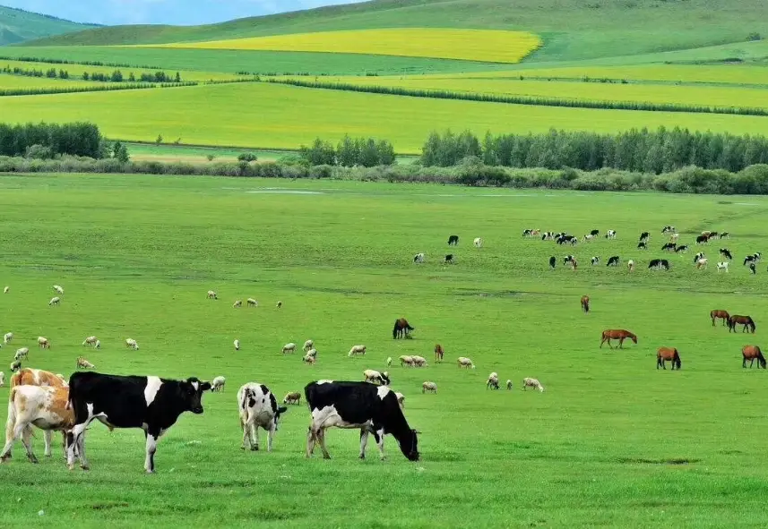 內蒙古旅遊季節全攻略：最佳時間、景點推薦與行程規劃