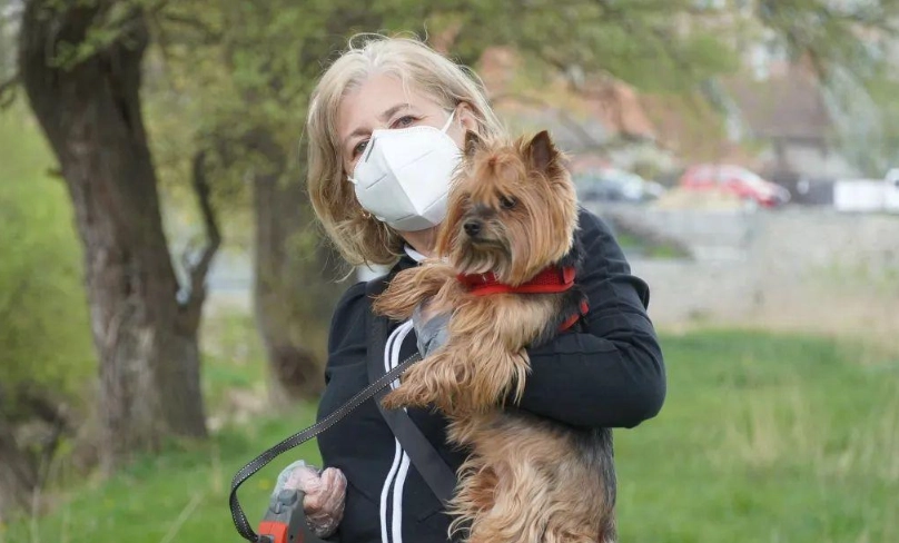 A型流感 狗 A型流感 狗