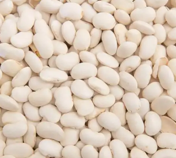 白扁豆禁忌