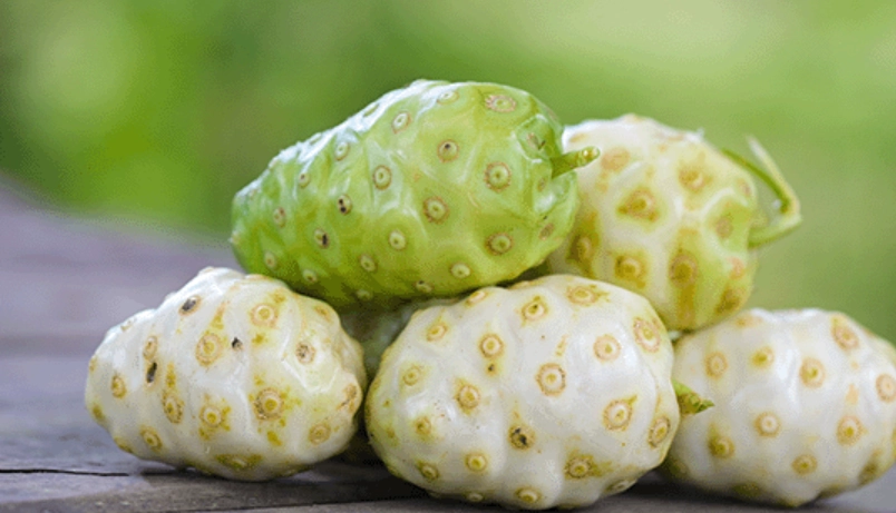 諾麗果酵素副作用解析：完整指南與安全食用建議