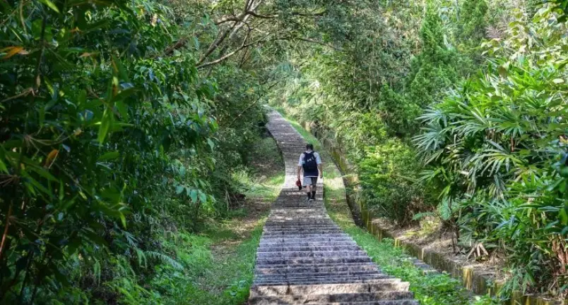 台北捷運登山步道全攻略：輕鬆規劃城市健行一日遊