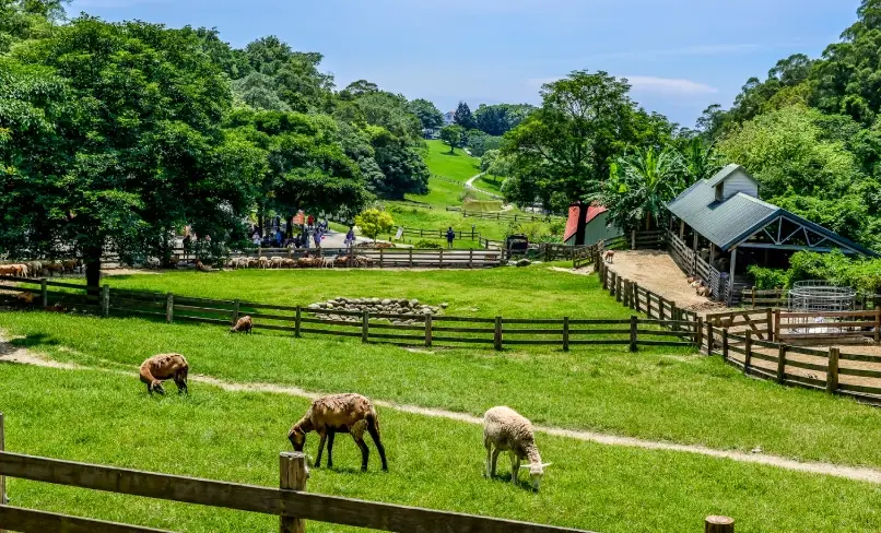 苗栗銀髮族景點