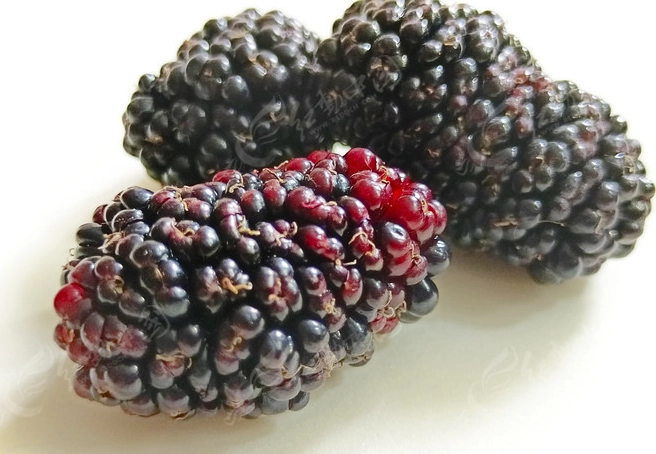 黑桑葚的5大功效與禁忌，營養師教你正確吃法與挑選秘訣