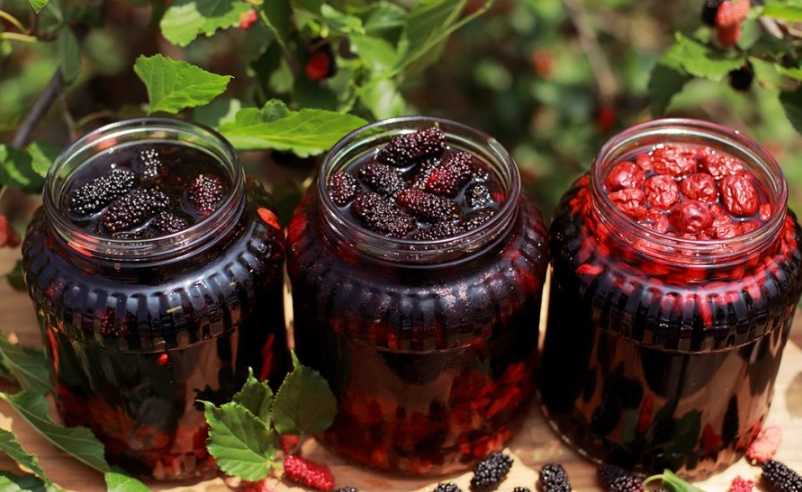 台灣桑椹水推薦